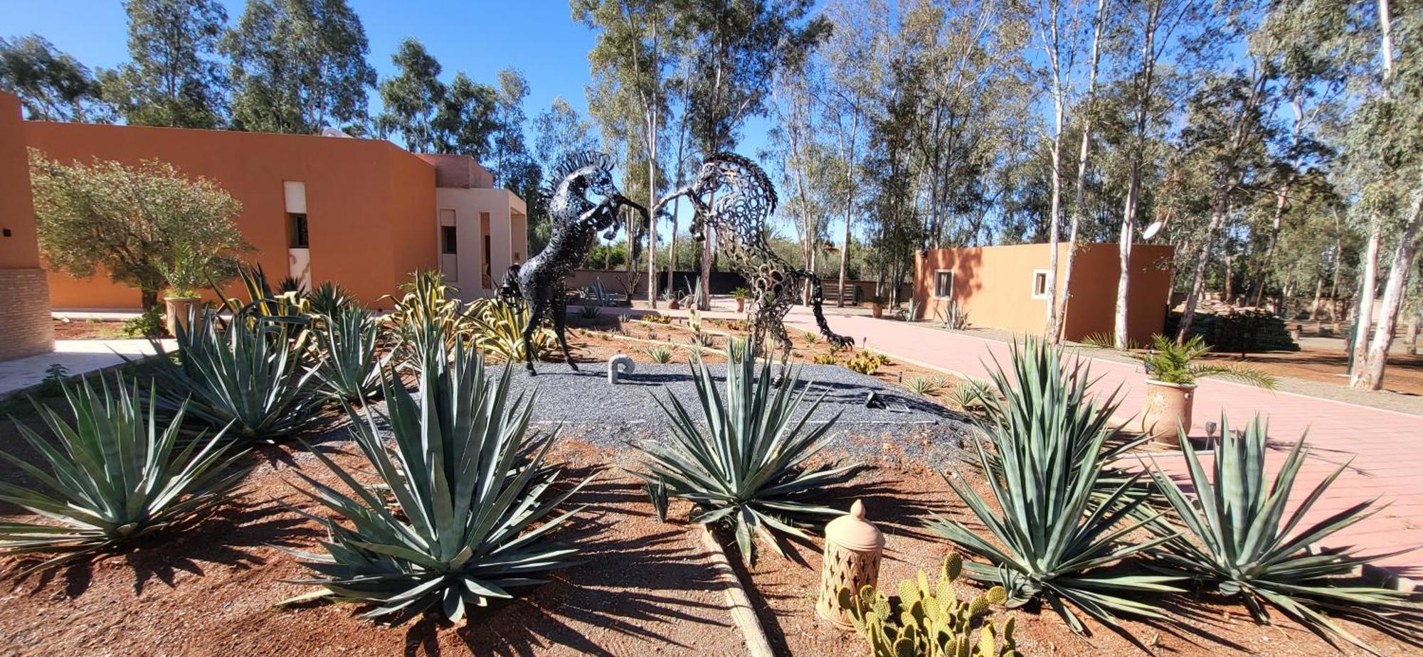 Le Jardin De Jeanne Villa Marrakesh Bagian luar foto